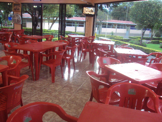 Here comes a description